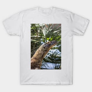 Blended Komodo T-Shirt